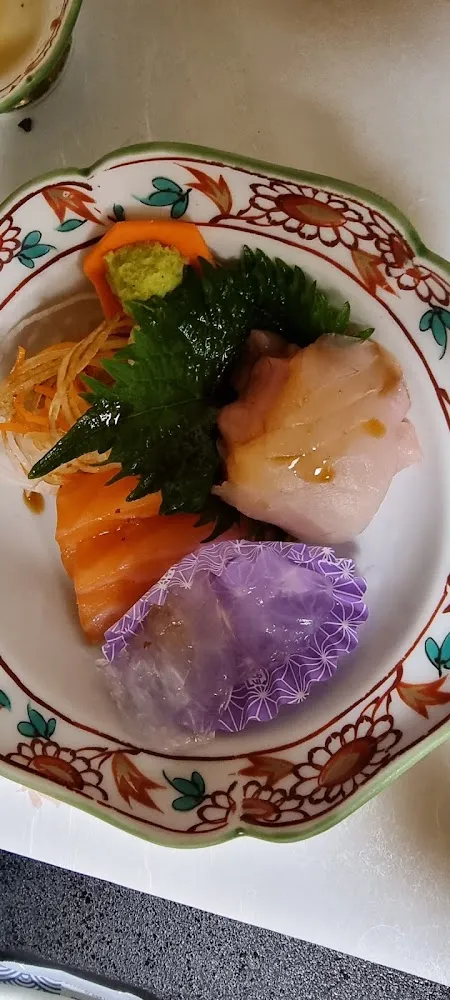 Méduse Et Poisson Chat